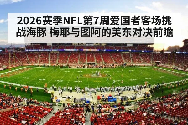 NFL stadium game